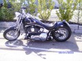 Thumbs/tn_DoggiesGoCart2009 055.jpg